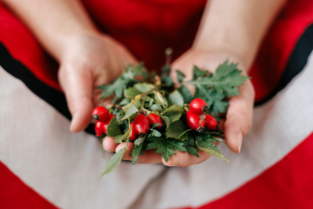 Lilli Farbe BE SEEN 060