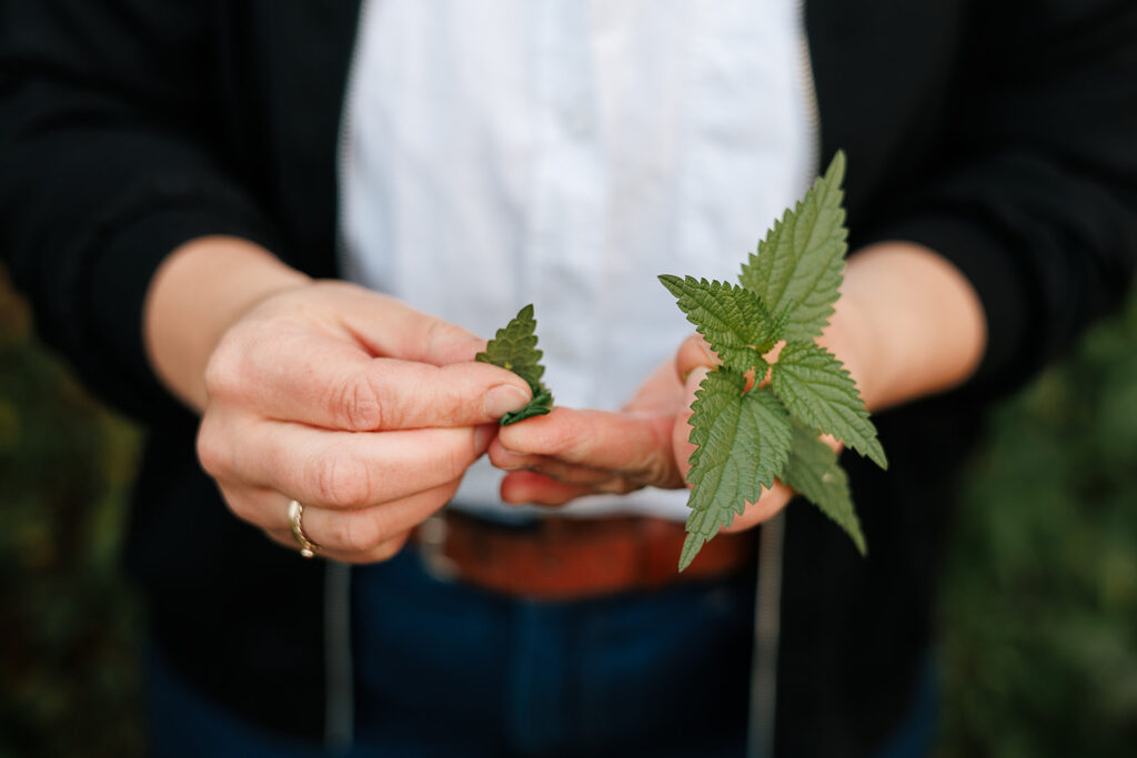 Lilli Farbe BE SEEN 115