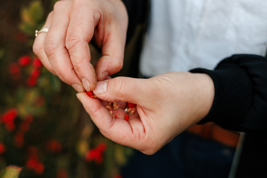 Lilli Farbe BE SEEN 124