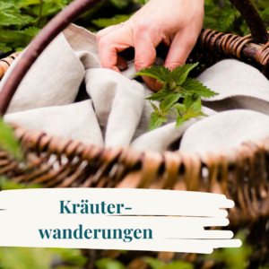 Kräuterwanderung