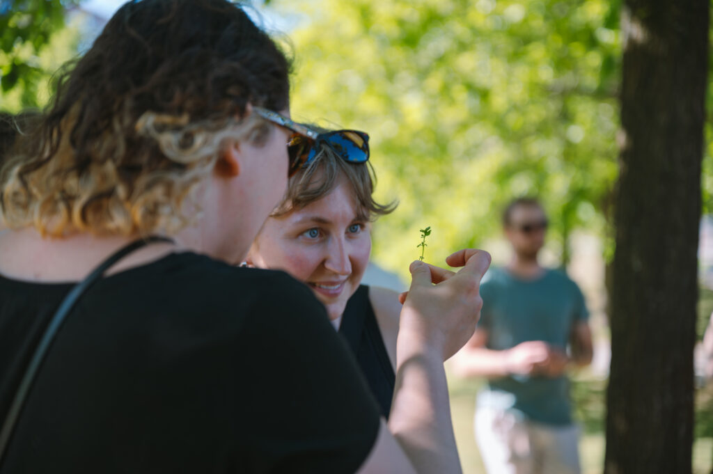 50 Lillis Kraeuterpfad 57