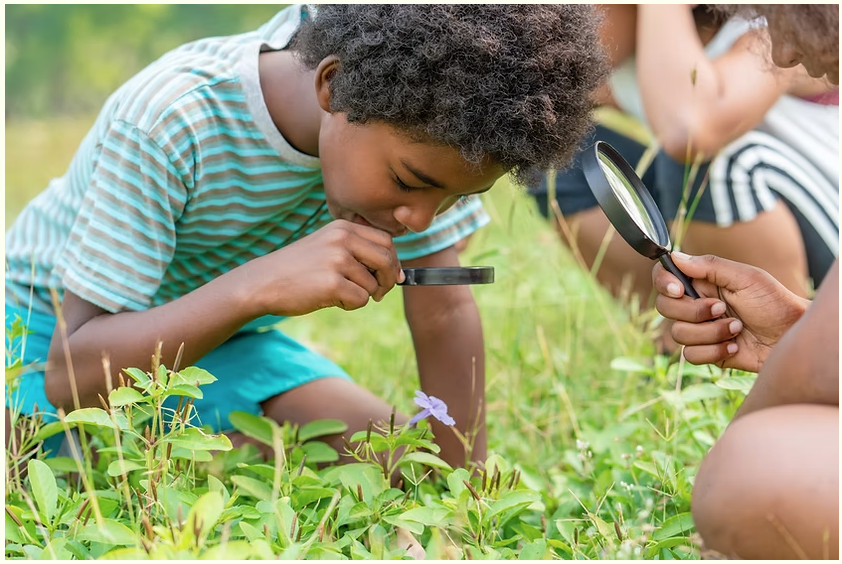 Bildschirmfoto 2026 01 07 um 12.43.18