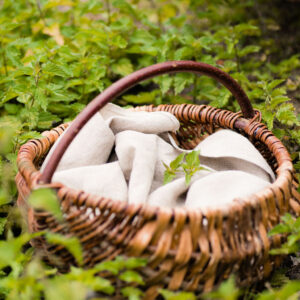 So, 22.03. - 15 Uhr "Bärlauch und Brennnessel - sie wecken die Kräfte in dir"